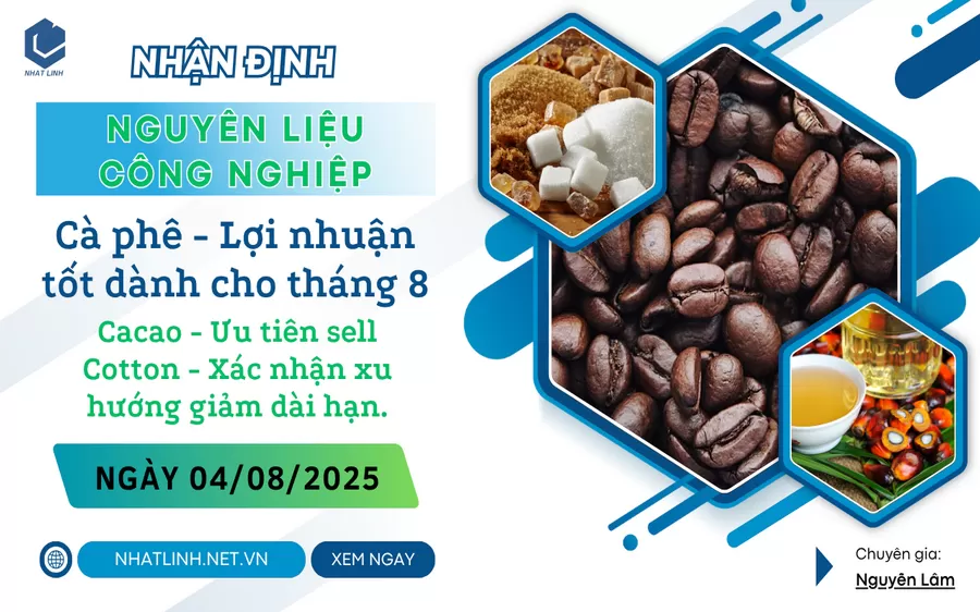 NHẬN ĐỊNH: NHÓM NGUYÊN LIỆU - CÔNG NGHIỆP NGÀY 04/08/2025